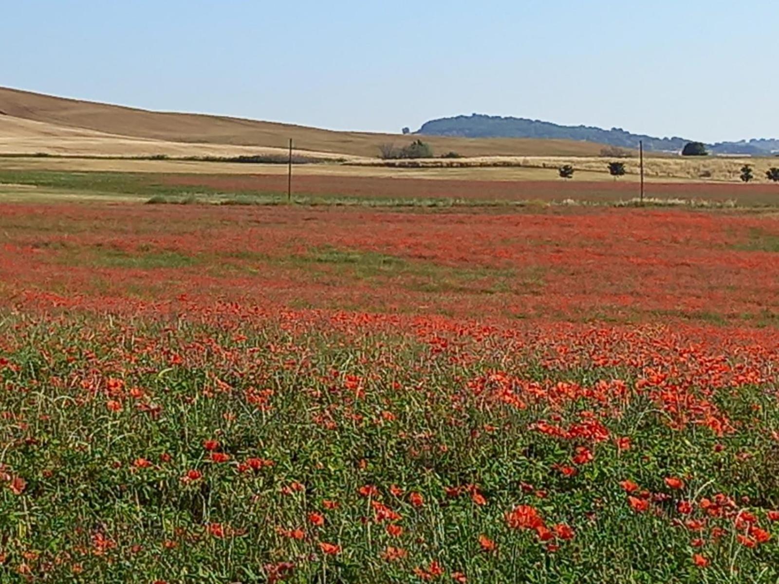 Appartamento con vista panoramica Pienza Esterno foto